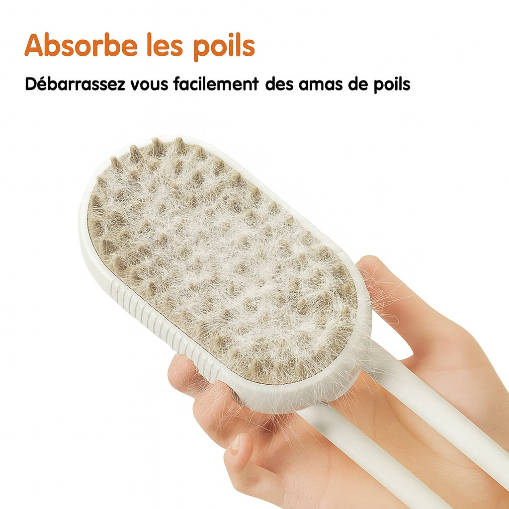 Brosse à vapeur