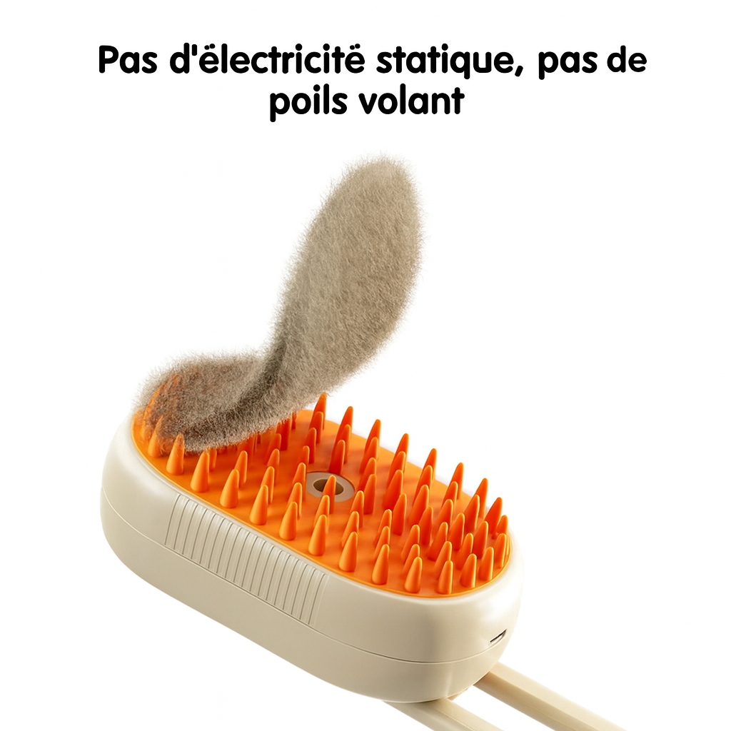 Brosse à vapeur