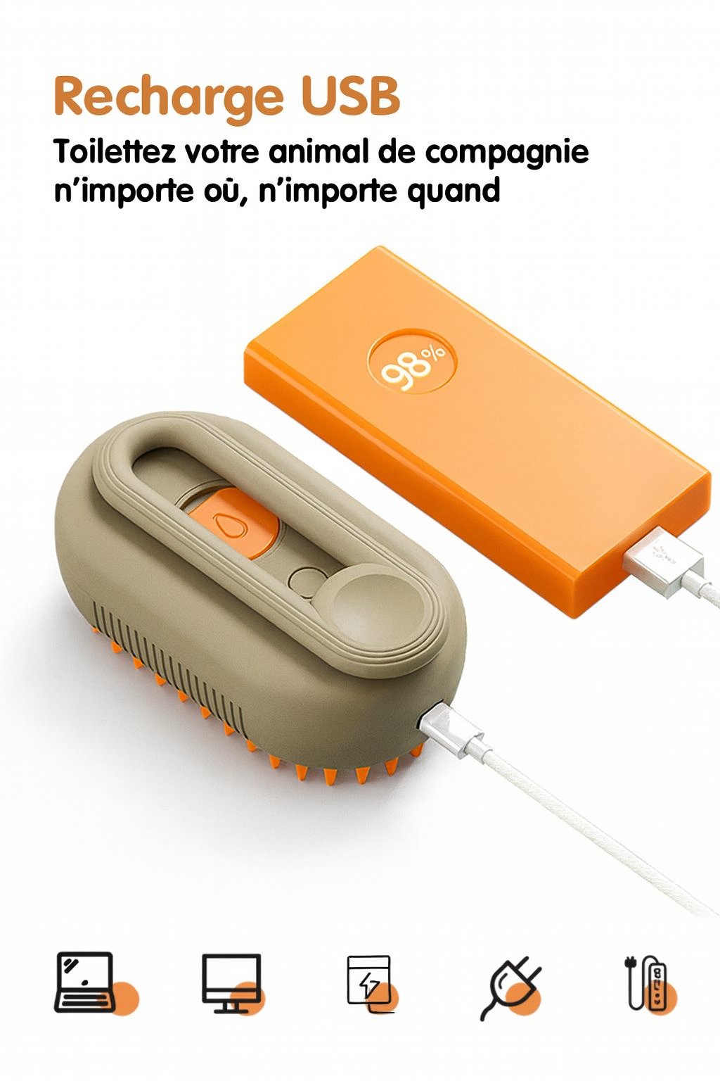 Brosse à vapeur